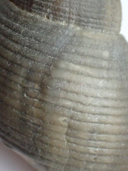 &copy; Thijs de Boer